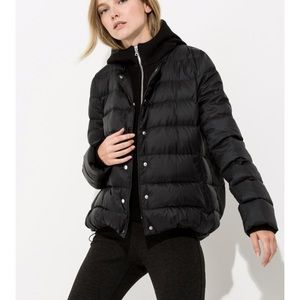 Warm and cozy kit and ace Halsey down jacket